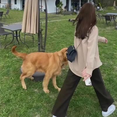 何班主和他的情人